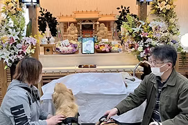 霊園火葬