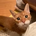 img01